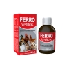 Ferro VetBras 100ml