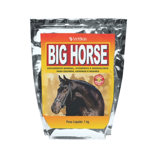 Big Horse